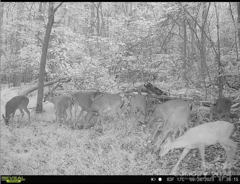 1769 Shearers Rd, Davidson, NC 28036 photo 7