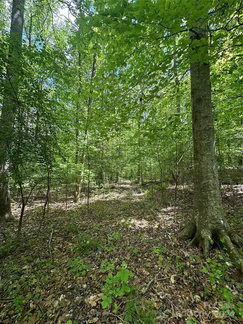 1769 Shearers Rd, Davidson, NC 28036 photo 17