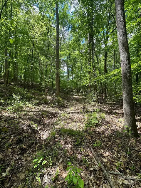 1769 Shearers Rd, Davidson, NC 28036 photo 21