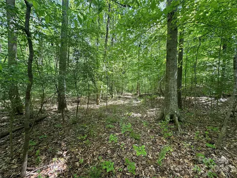 1769 Shearers Rd, Davidson, NC 28036 photo 16