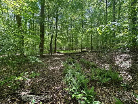 1769 Shearers Rd, Davidson, NC 28036 photo 19