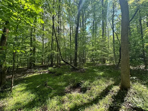 1769 Shearers Rd, Davidson, NC 28036 photo 20