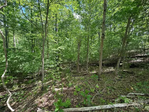 1769 Shearers Rd, Davidson, NC 28036 photo 15