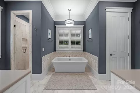 Bath - 18121 John Connor Rd, Cornelius, NC 28031 photo 1 of 8