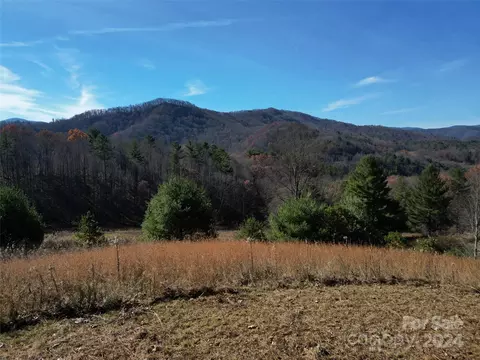 20 Dream Valley 20 Dr #20, Clyde, NC 28721