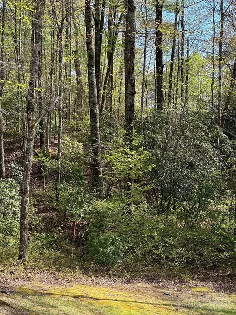 Blue Ridge Road, Lake Toxaway, NC 28747
