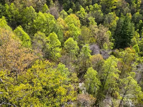 4 Timbuktu Rd, Sylva, NC 28779 photo 25
