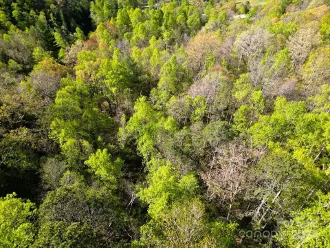 4 Timbuktu Rd, Sylva, NC 28779 photo 17