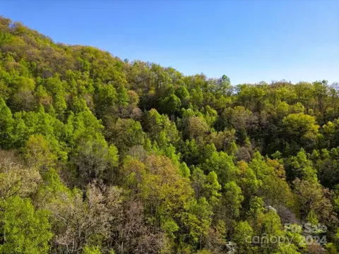 4 Timbuktu Rd, Sylva, NC 28779 photo 11