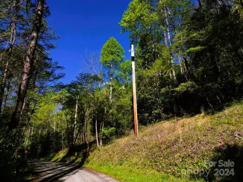 4 Timbuktu Rd, Sylva, NC 28779 photo 12