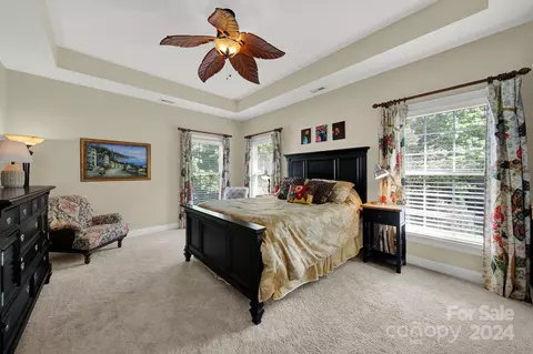 106 Mills Ln, Fort Mill, SC 29708 photo 23