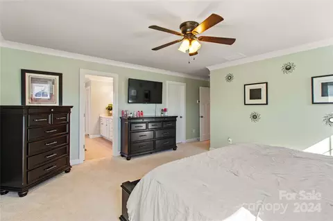 420 Hudson Pl, Davidson, NC 28036 photo 12