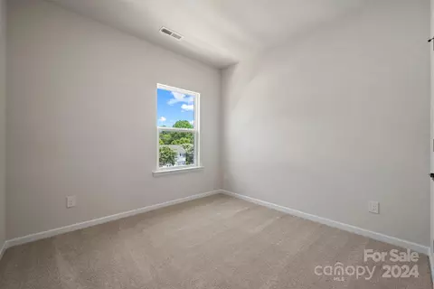 703 Carr Pl, Davidson, NC 28036 photo 25
