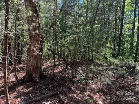 5 Indian Summer Ln, Mill Spring, NC 28756 photo 5