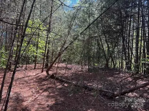 5 Indian Summer Ln, Mill Spring, NC 28756 photo 7