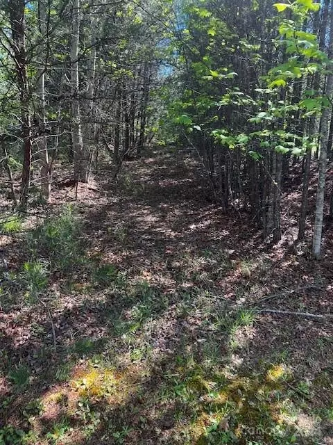 5 Indian Summer Ln, Mill Spring, NC 28756 photo 6