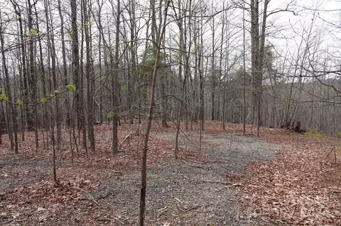 101 Skyridge Dr, Bostic, NC 28018 photo 5
