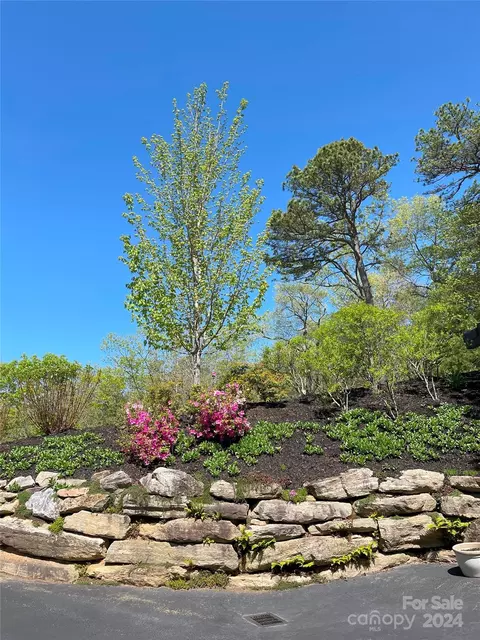 43 Sunset Trce, Brevard, NC 28712 photo 27