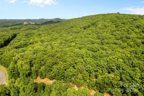 159 Pinnacle Trl, Denton, NC 27239 photo 5
