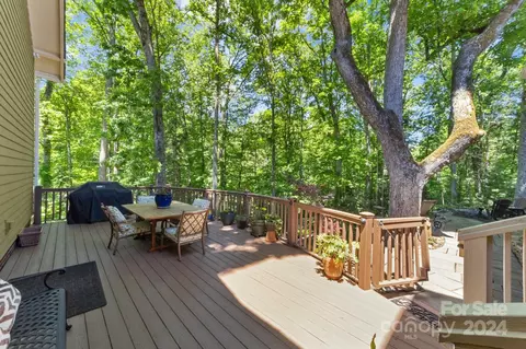 624 Wolfe St, Davidson, NC 28036 photo 43