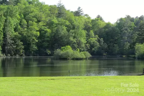 Other - 22 Eagle Run, Brevard, NC 28712 photo 16 of 17