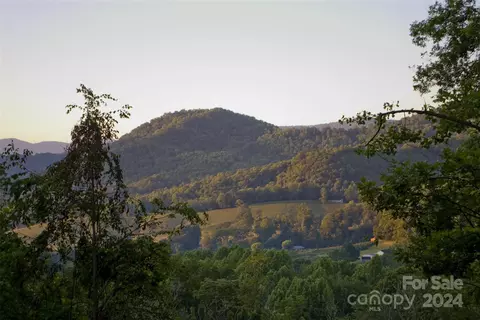 Tamarack Trail, Waynesville, NC 28785