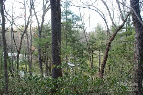 00 Green St, Saluda, NC 28773