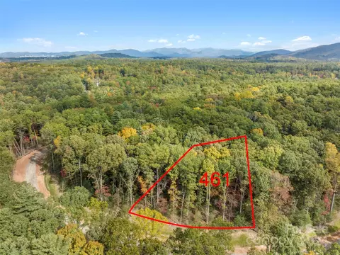 167 Emerald Necklace 461 Dr #461, Asheville, NC 28803