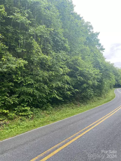 0 Cedar Creek 61 Rd #61, Lake Lure, NC 28746