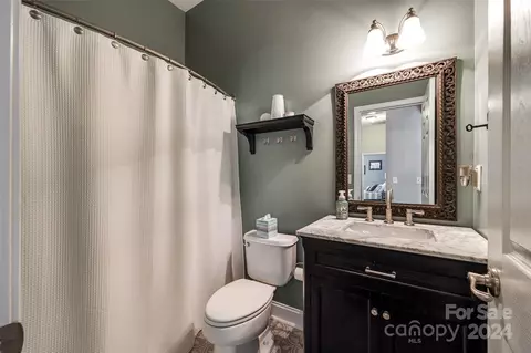 213 Clear Spring Ct, Fort Mill, SC 29708 photo 30