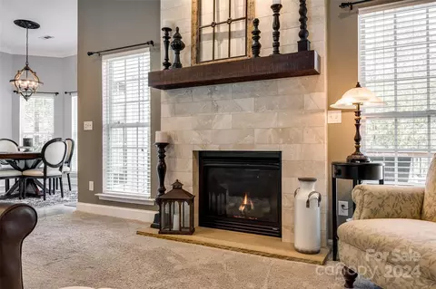 213 Clear Spring Ct, Fort Mill, SC 29708 photo 14