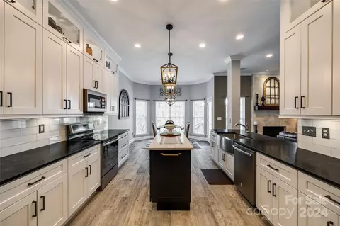 213 Clear Spring Ct, Fort Mill, SC 29708 photo 9