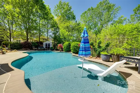 213 Clear Spring Ct, Fort Mill, SC 29708 photo 33