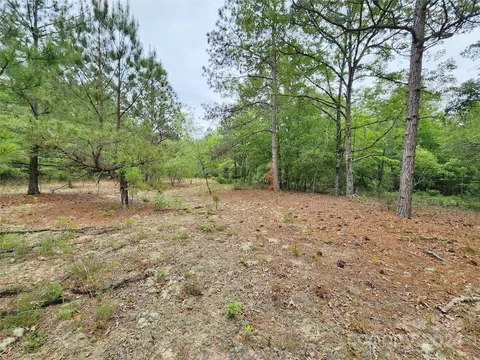 Weeks Road, Williston, SC 29853 photo 12