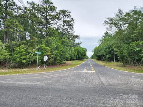Weeks Road, Williston, SC 29853 photo 2