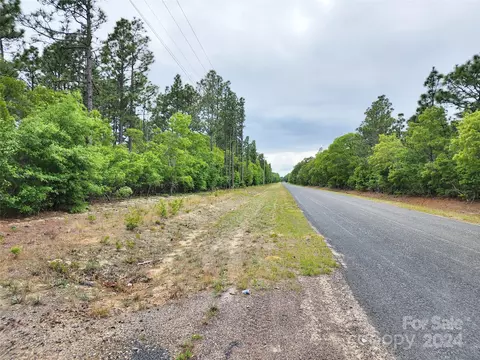 Weeks Road, Williston, SC 29853 photo 17