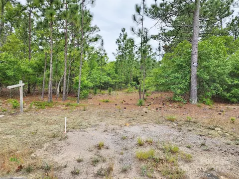 Weeks Road, Williston, SC 29853 photo 16