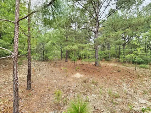 Weeks Road, Williston, SC 29853 photo 13