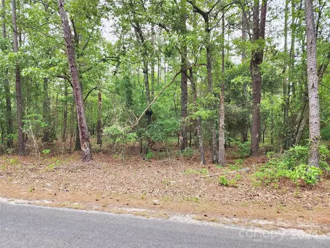 Weeks Road, Williston, SC 29853 photo 4