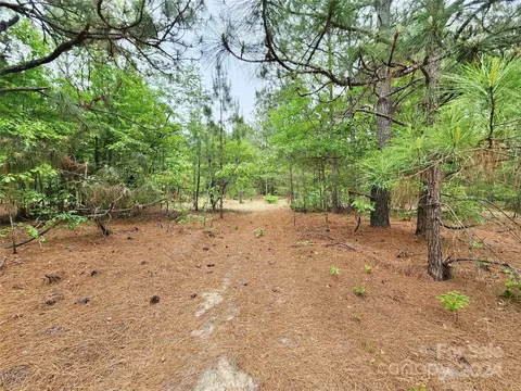 Weeks Road, Williston, SC 29853 photo 14