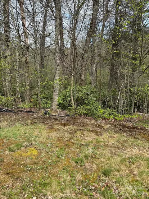 4 Linville River Lane #4 & 5 PHASE LL, Linville, NC 28646