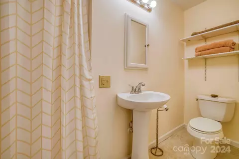 Other - 30 Willow Dr, Brevard, NC 28712 photo 8 of 12
