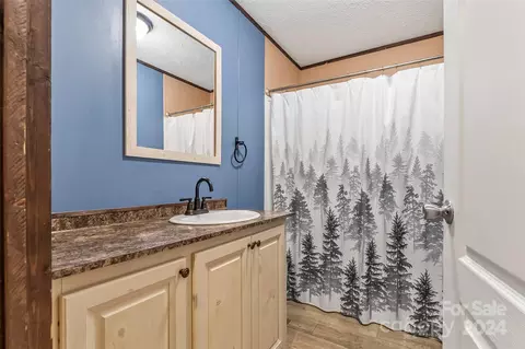 Bath - 26 Spring St, Candler, NC 28715 photo 2 of 2