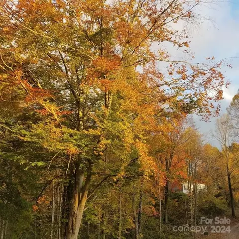 Other - 26 Spring St, Candler, NC 28715 photo 11 of 12