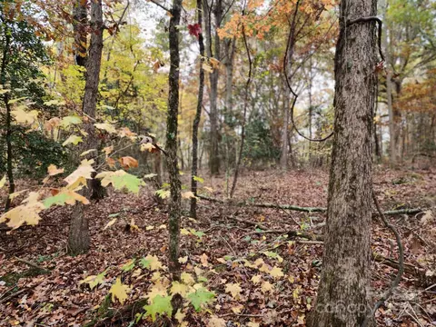 1219 Alexis High Shoals Rd, Dallas, NC 28034