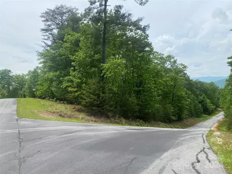 Bald Eagle Lane, Marion, NC 28752 photo 4
