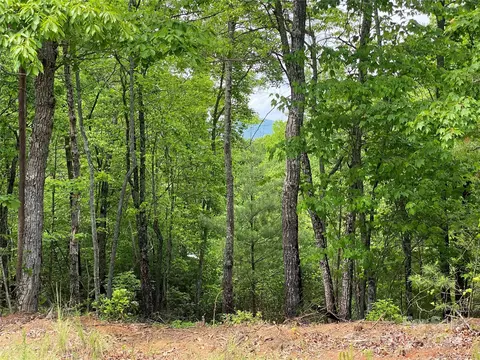 Bald Eagle Lane, Marion, NC 28752 photo 7
