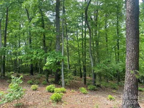 Bald Eagle Lane, Marion, NC 28752 photo 6