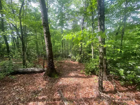 Bald Eagle Lane, Marion, NC 28752 photo 10
