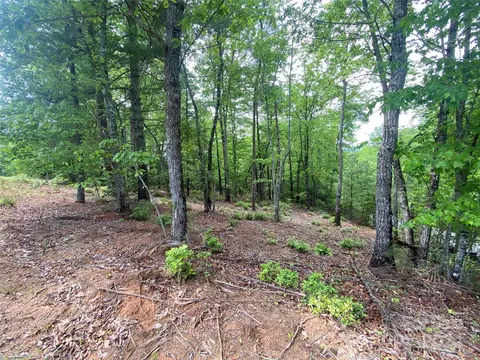 Bald Eagle Lane, Marion, NC 28752 photo 8